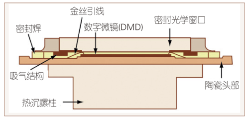 鲍海飞图5